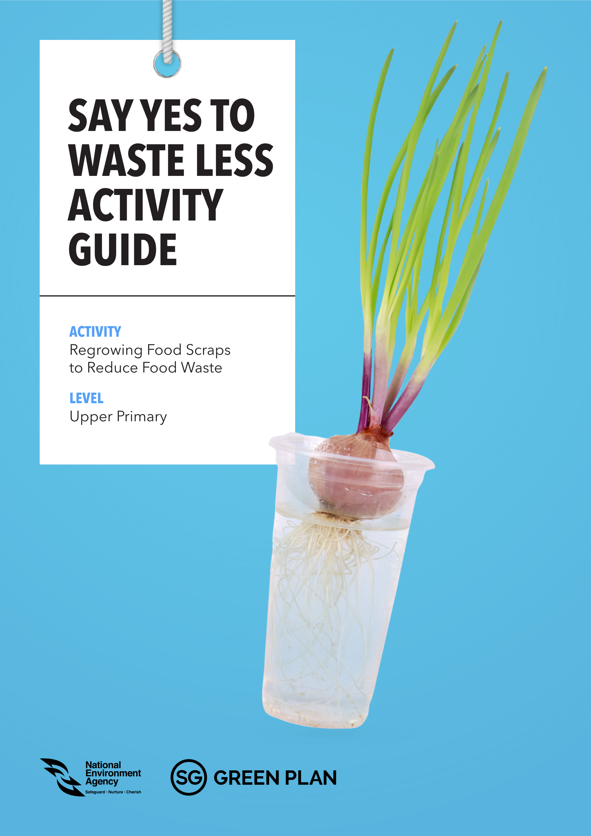 Earlier Version Activity Guide